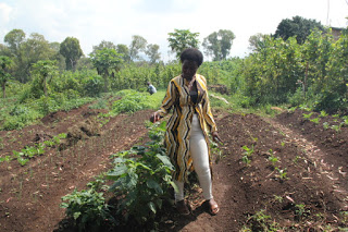 Person stands in farm giving explanation.