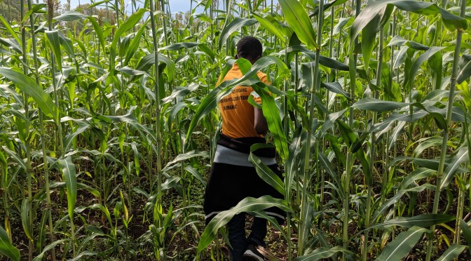 Healing from Genocide