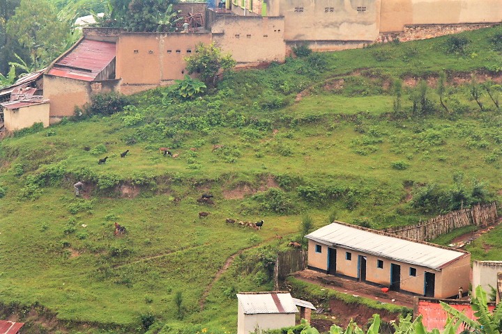 One room apartments on the side of a hill used for grazing animals.